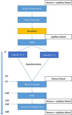 Acute Effects of Cocoa Flavanols on Blood Pressure and Peripheral Vascular Reactivity in Type 2 Diabetes Mellitus and Essential Hypertension: A Protocol for an Acute, Randomized, Double-Blinded, Placebo-Controlled Cross-Over Trial